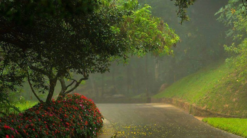 Hakgala Botanical Garden in Sri Lanka