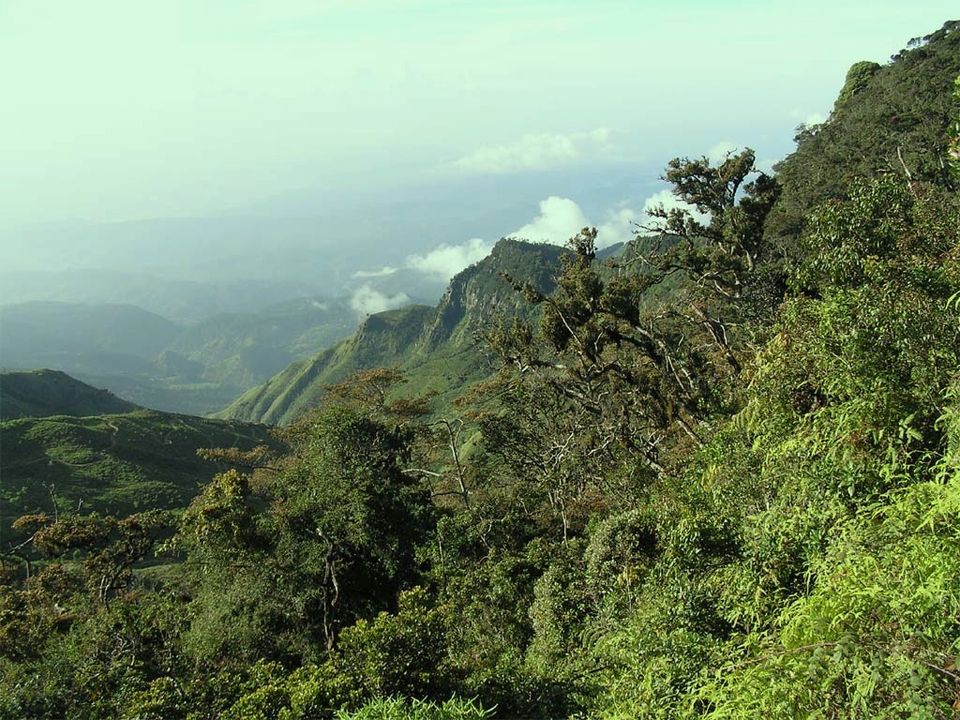 Trekking at the Beautiful Horton Plains