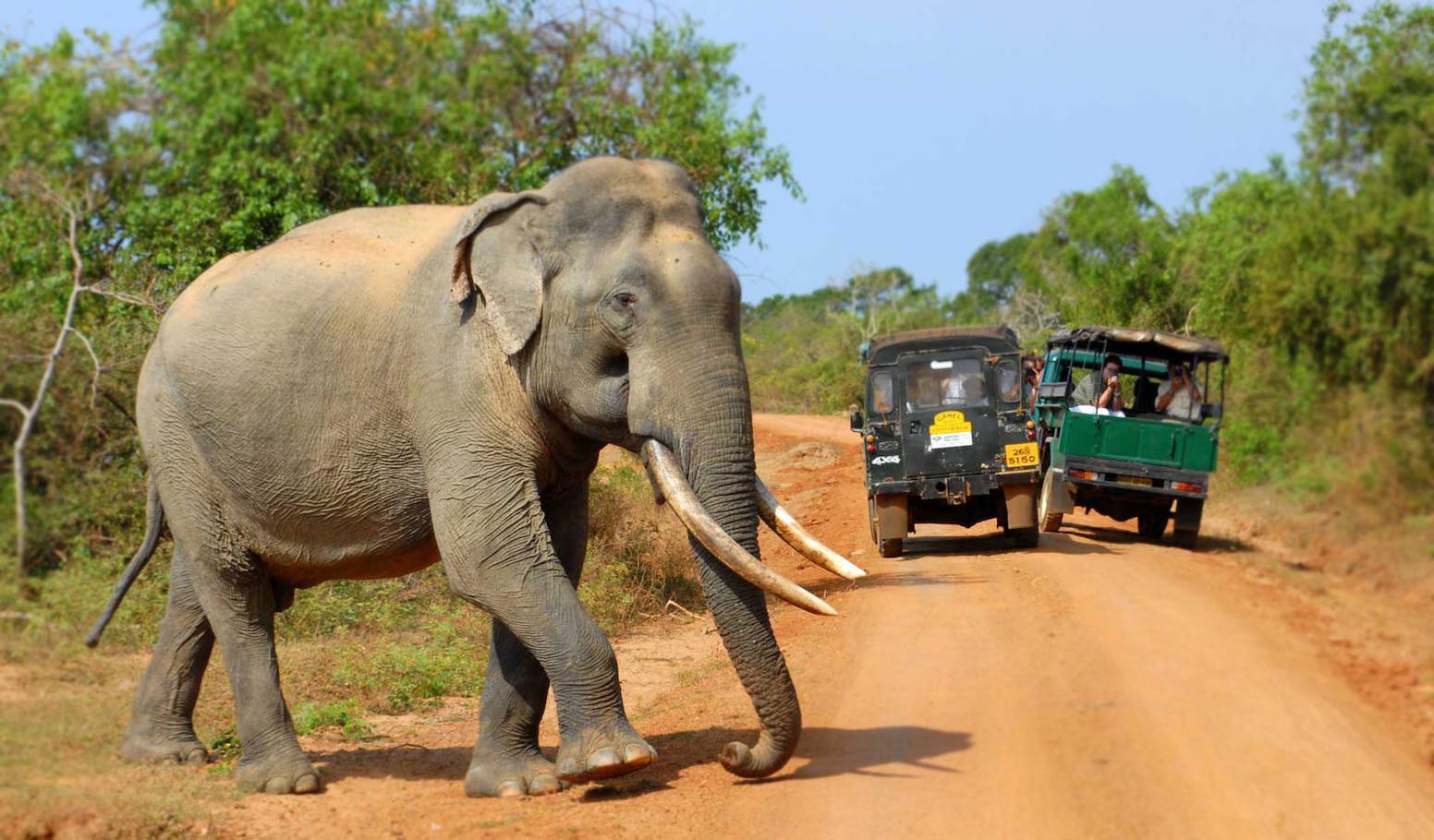 Wilpattu Safari Tours Sri Lanka