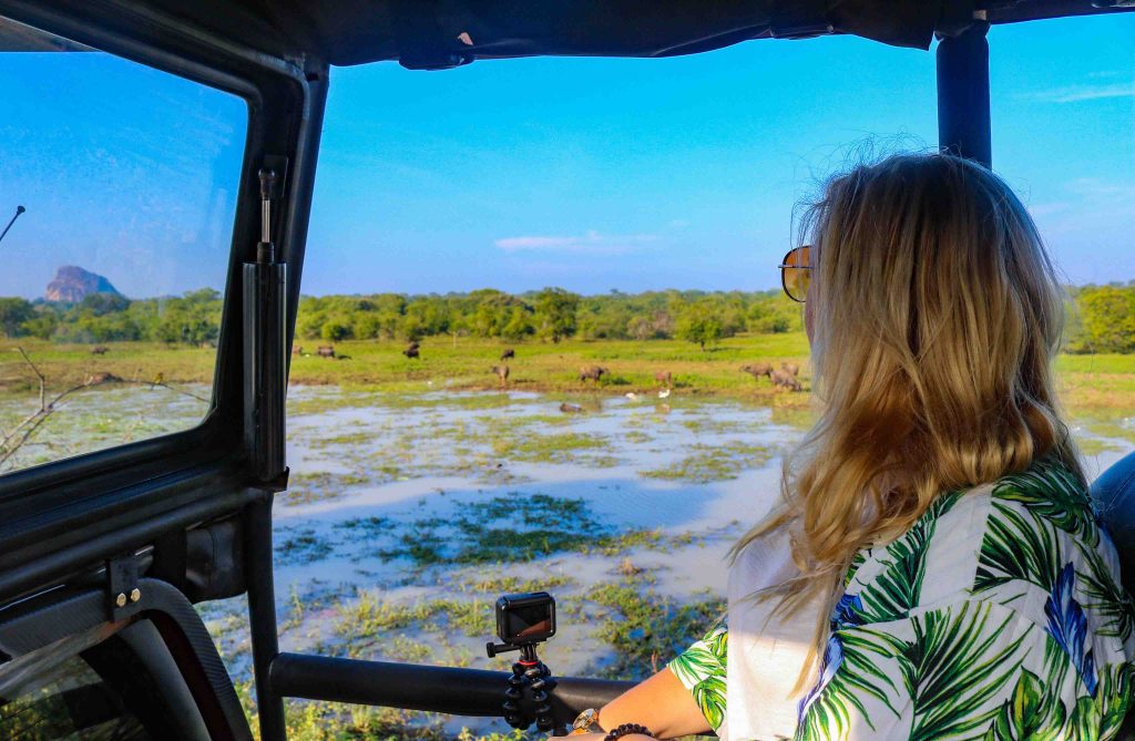 Yala Safari Tour Highlight in Sri Lanka