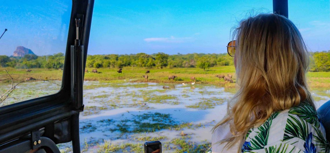 Yala Safari Tour Highlight in Sri Lanka