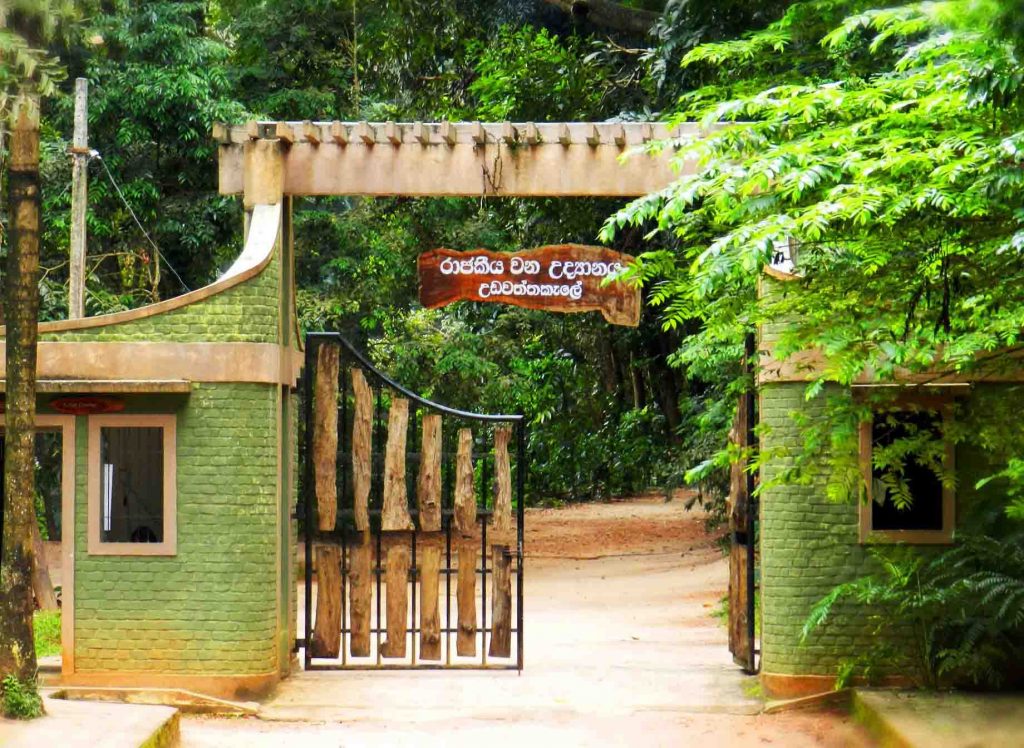 Udawattakele Sanctuary