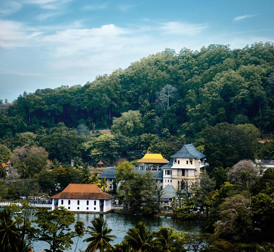 Udawattakele Sanctuary in Kandy City