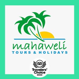 Ella City Tour with Mahaweli Tours (Explore Beautiful Ella with Us!)