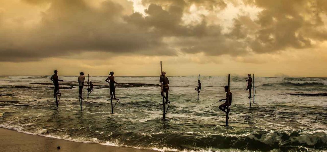 Stilt Fishing in Sri Lanka