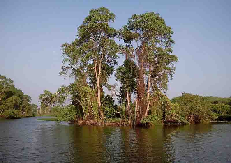 Walawe River Safari