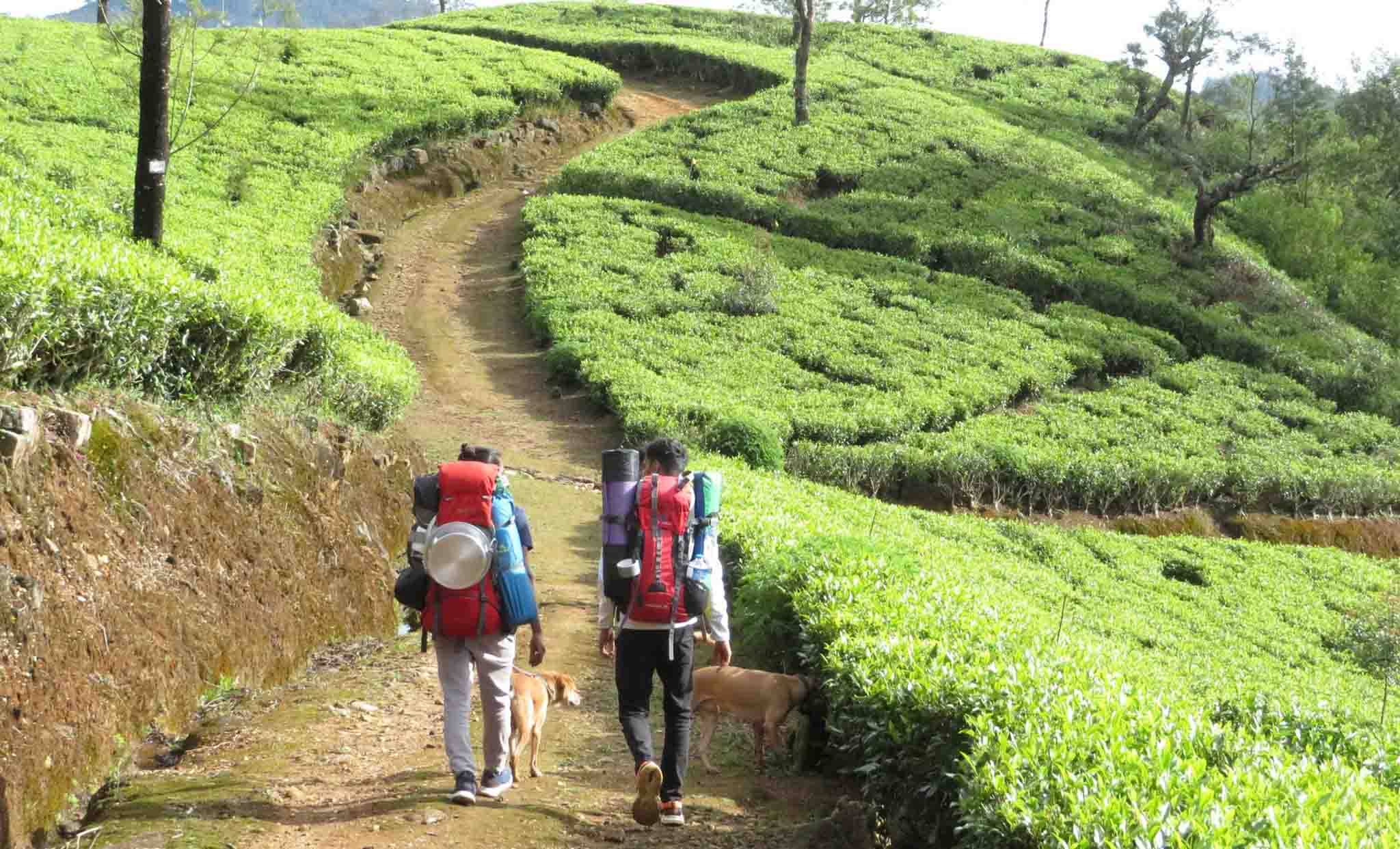 The Pekoe Trail in Sri Lanka