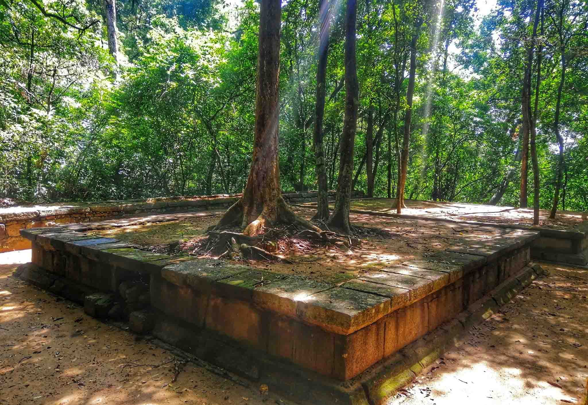 Sita Kotuwa: Unveiling A Hidden Gem In Sri Lanka - Mahaweli Tours 