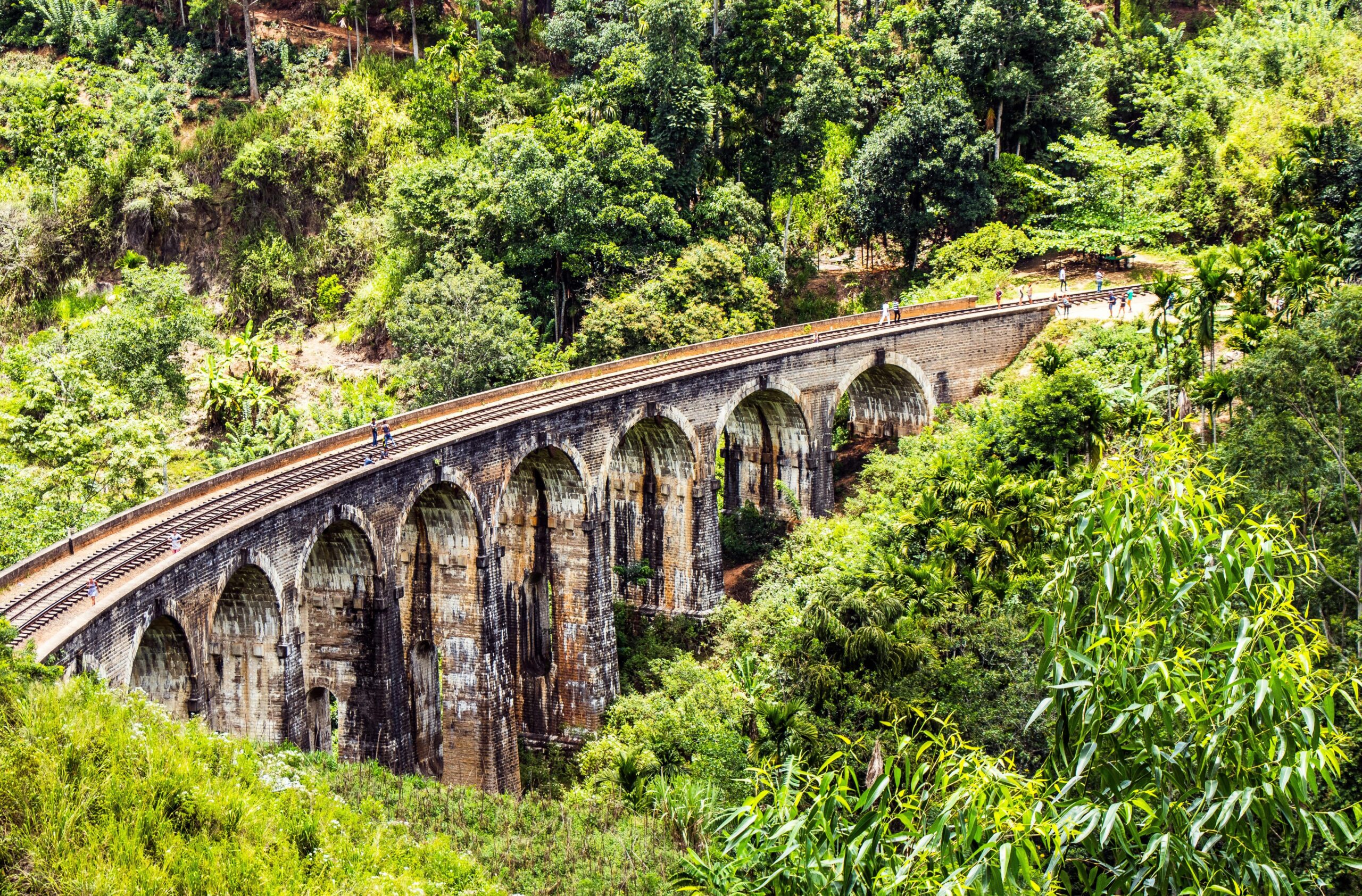 Demodara Loop: A Marvel of Sri Lankan Railway Engineering