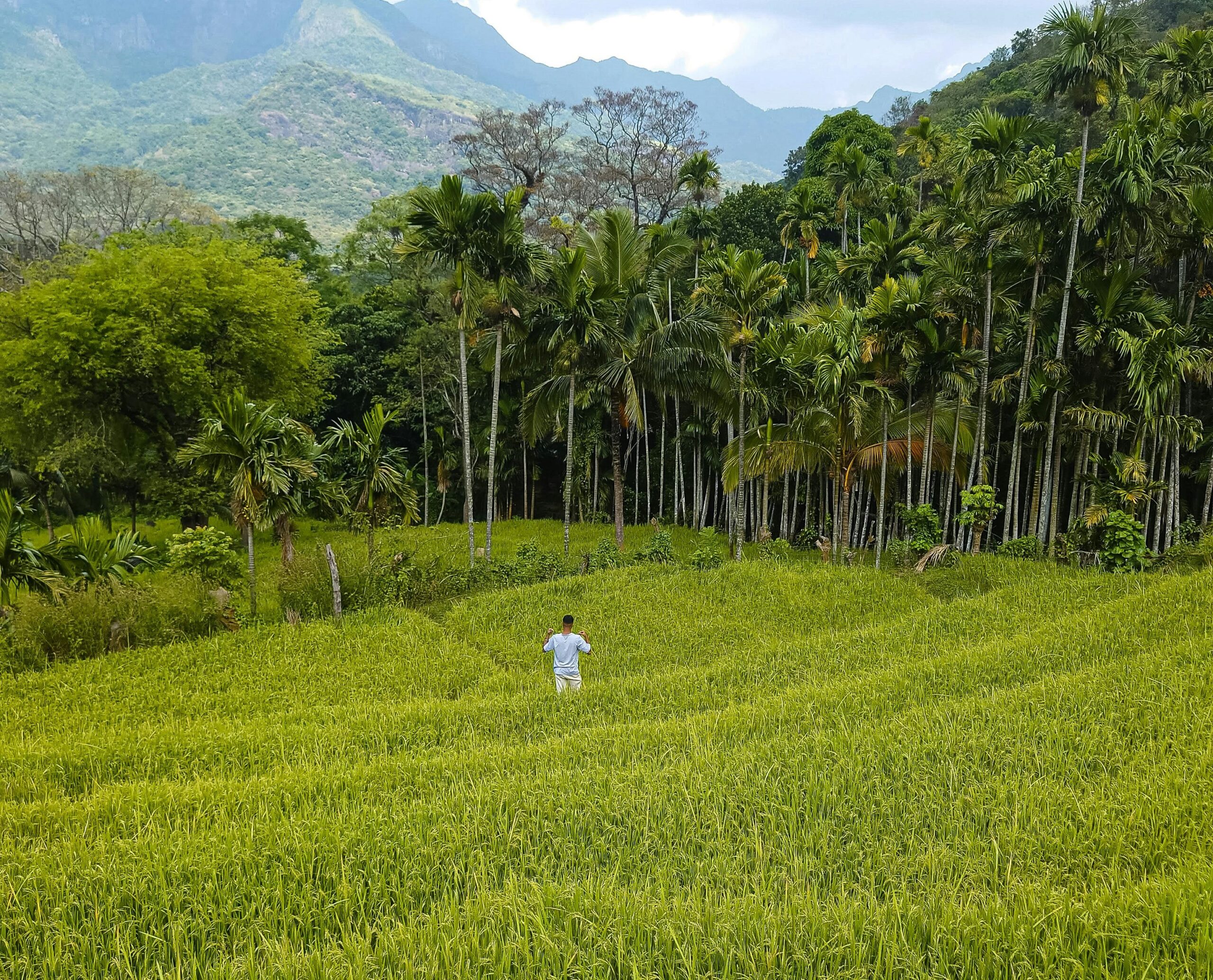 Accommodation Options in Sri Lanka | Where to Stay in Sri Lanka?