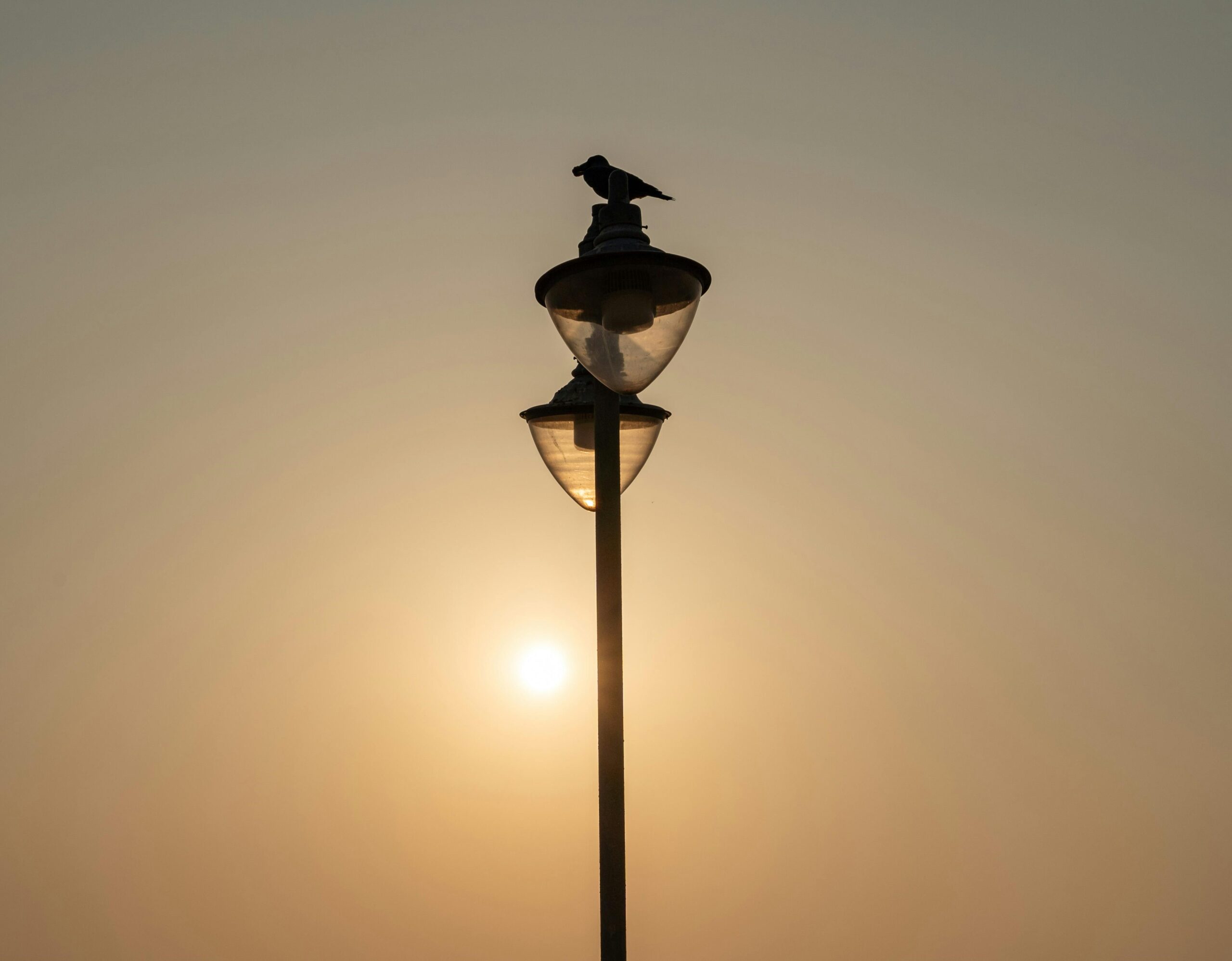 Is Sri Lanka a Safe Place to Travel? A Comprehensive Guide for 2025