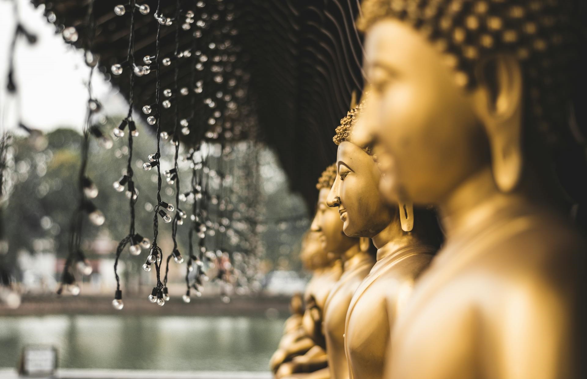 Gangaramaya Temple in Colombo: A Spiritual Haven in the Heart of the Capital