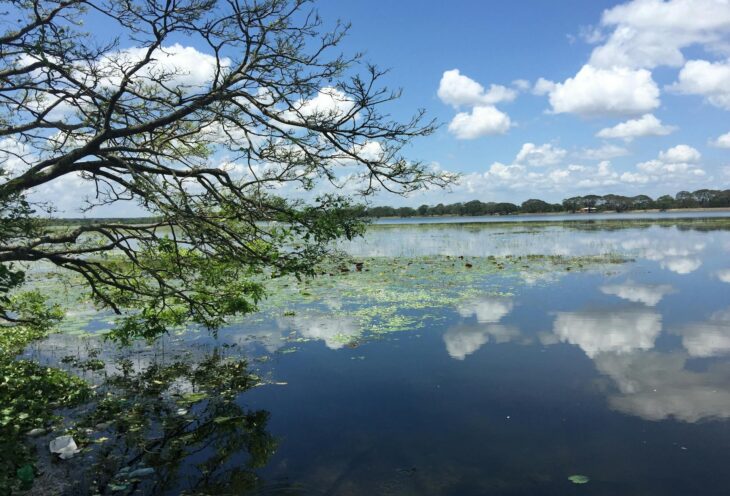 Lake-in-Anuradhapura
