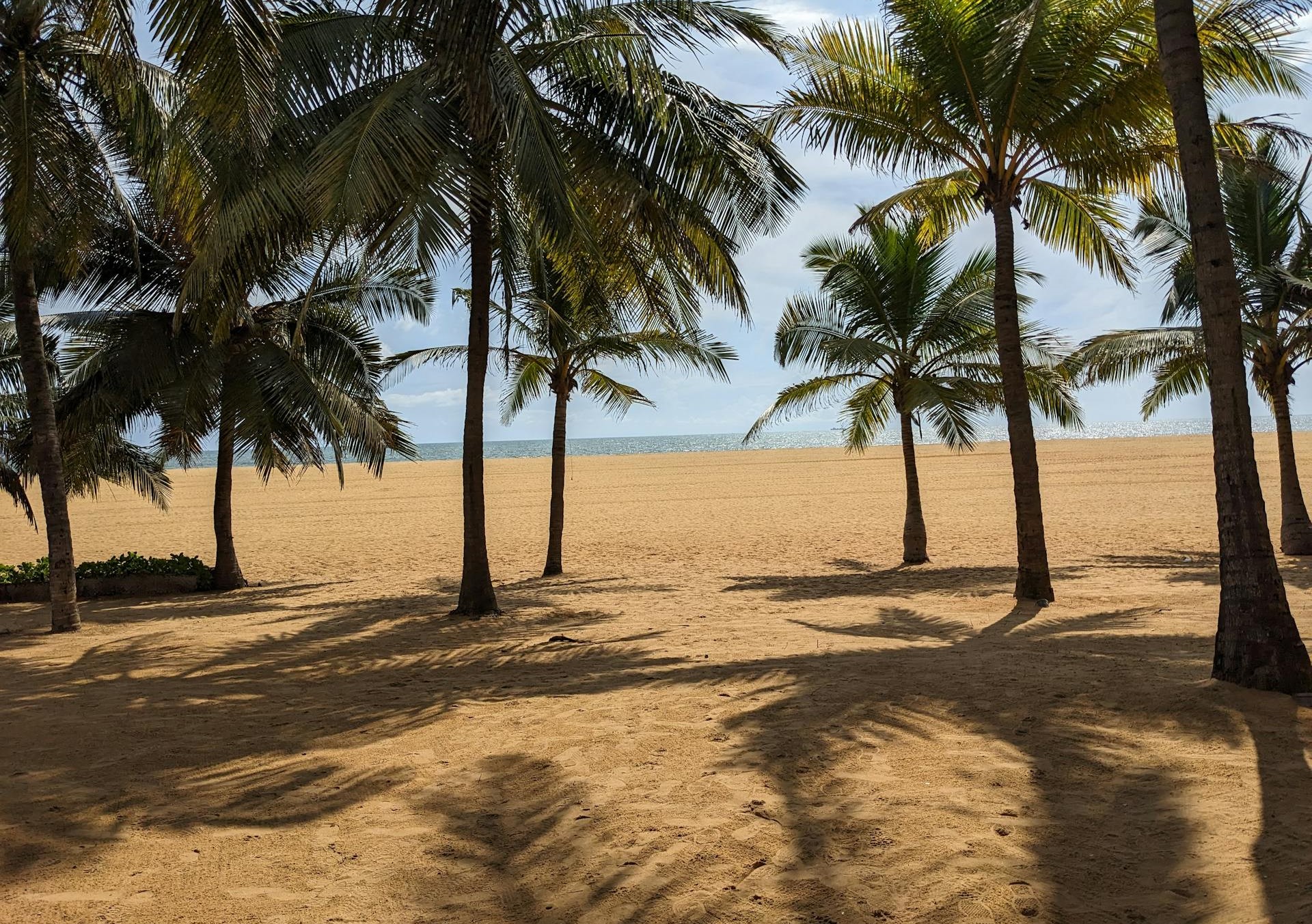 Negombo Beach in Sri Lanka: A Tropical Paradise